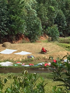 thumbnail_IMG_6958[1]